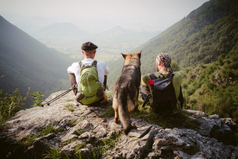 fotolia.com 65241934 - Men watching the scene with their dog © Stillkost